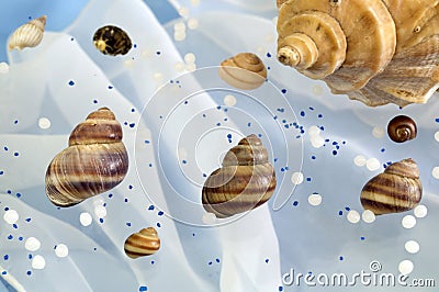 Fantasy version on the theme of marine life Stock Photo