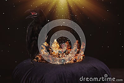 Fantasy world. Black crow lit by magic light sitting on golden crown Stock Photo