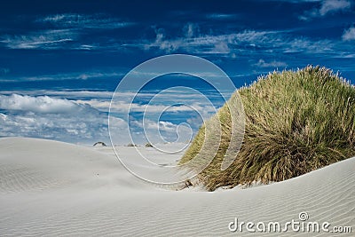 Farewell Spit sand dune Stock Photo