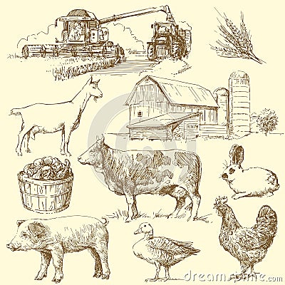 Farm Vector Illustration