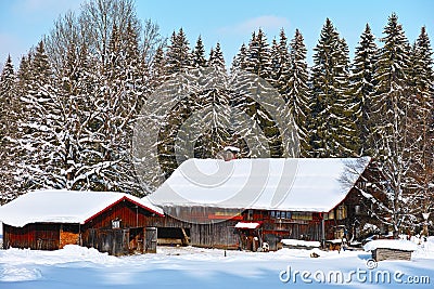 Rustic farmhouse and barn in snowy winter landscape at fir forest Stock Photo