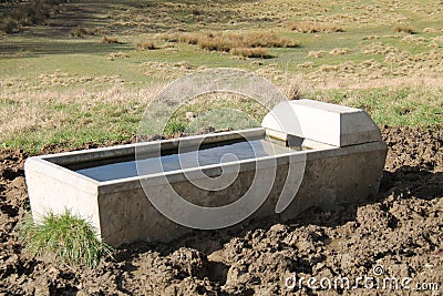 Farm Animal Drinking Trough. Stock Photo