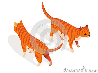 Farm animal isometric. Domestic animal in 3d flat back and front view. Cute game character of cat. Vector icon Vector Illustration