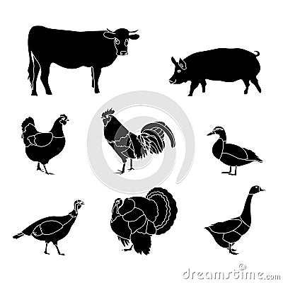 Farm animal pig Vector Illustration