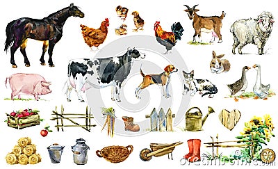 Farm animals and Birds watercolor collection. Livestock cartoon animal illustration Cartoon Illustration