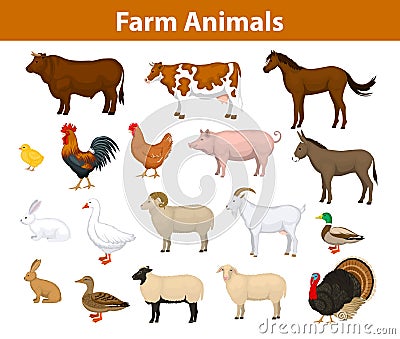 Farm animals collection Vector Illustration