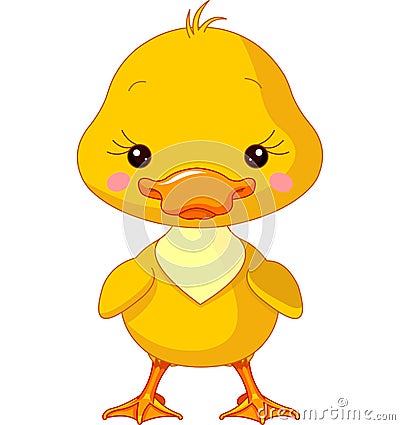 Farm animals. Duck Vector Illustration