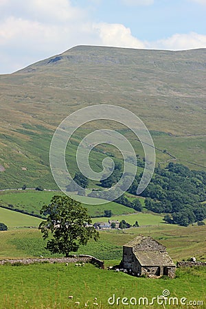 Farm animals field barn tree Mallerstang Cumbria Stock Photo