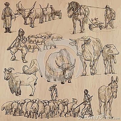 Farm animals. Hand drawn vector pack. Vector Illustration