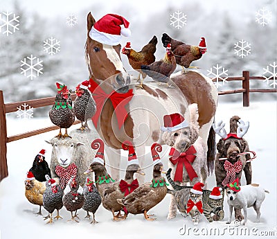 Farm animals and pets standing together dressed for Christmas Stock Photo