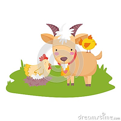 Farm animals ram hen and chicken grass cartoon Vector Illustration