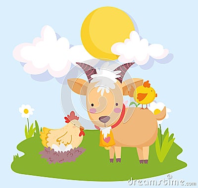 Farm animals ram hen and chicken grass sunny day cartoon Vector Illustration