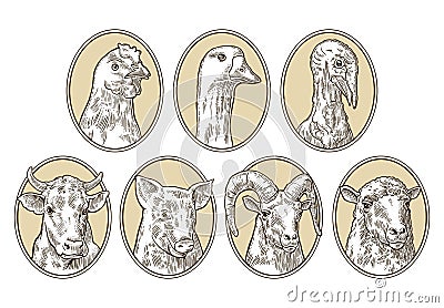 Farm animals set. Pig, cow, sheep, chicken, goose , turkey heads Vector Illustration