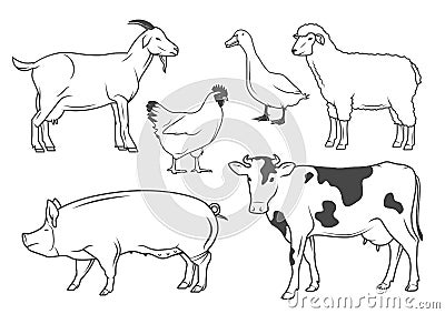 Farm animals Vector Illustration