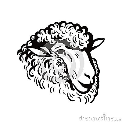 Farm animals. sheep head sketch Vector Illustration