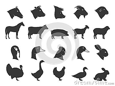 Farm Animals Silhouettes and Icons Vector Illustration