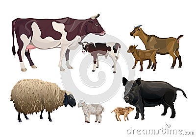 Farm animals and their kids Vector Illustration