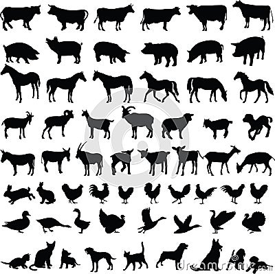 Farm animals - vector Vector Illustration