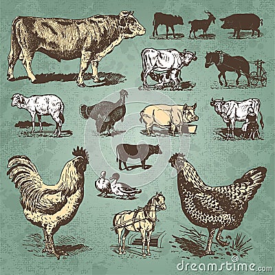 Farm animals vintage set (vector) Vector Illustration