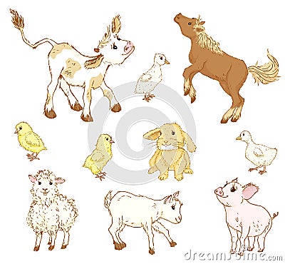 Farm baby animals. Vector Illustration