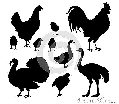 Farm birds silhouette vector illustration Vector Illustration