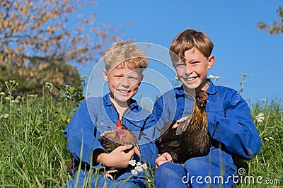 Farm Boys with chickens Stock Photo