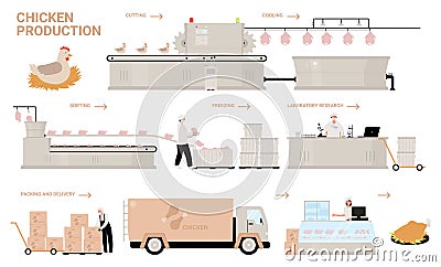 Farm chicken production process stages, cartoon automated processing factory line Vector Illustration