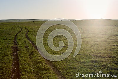 Farm dirt track leading across green pastures Stock Photo