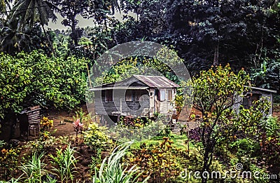 Farm on Dominica Stock Photo