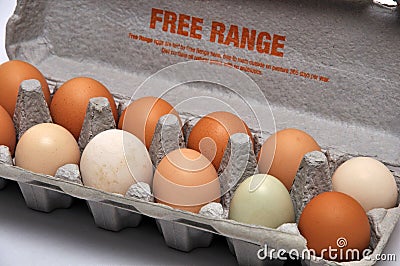 A dozen fresh farm eggs on a seamless background Stock Photo