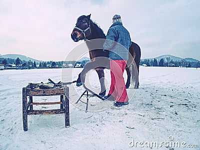 Farm employee hold horse at paddock for hooves check Stock Photo