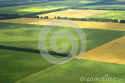 Farm Field cultivated Stock Photo