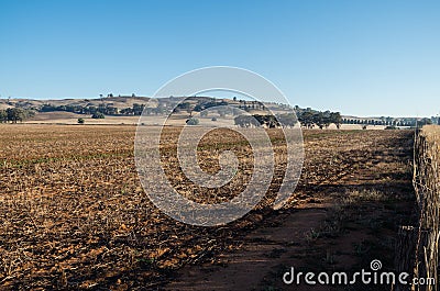 Farm field in Dookie, in the Goulburn Valley, Australia Stock Photo
