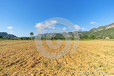 Farm Field. Freshly planted wheat field in American Midwest Stock Photo