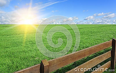 Farm. Field with grass and a fence. Stock Photo