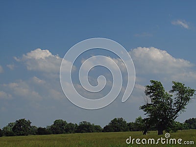 Farm field view Lockwood Missouri Stock Photo