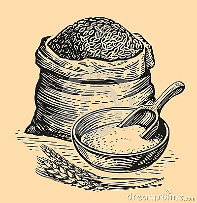 Sack or burlap bag, wholemeal bread flour, barley grains, wooden scoop and ears of wheat. Farm food vintage sketch Vector Illustration