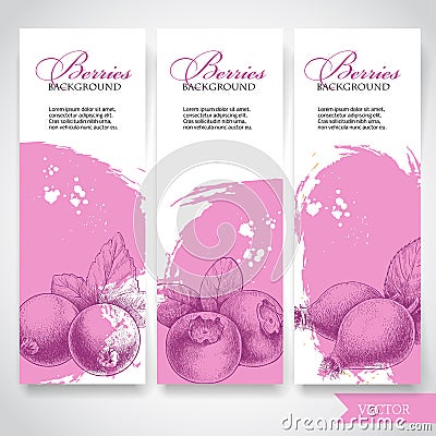 Farm fresh berries banners. Hand drawn berries. Blueberry, black currant and rose hip Vector Illustration