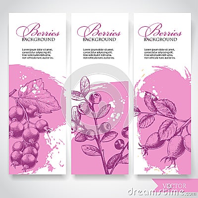 Farm fresh berries banners. Hand drawn branches with berries. Blueberry, black currant and rose hip Vector Illustration