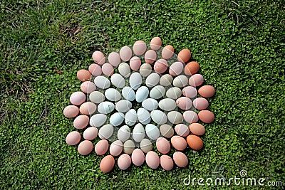 Farm Fresh Egg Mandala Art Close Up Stock Photo