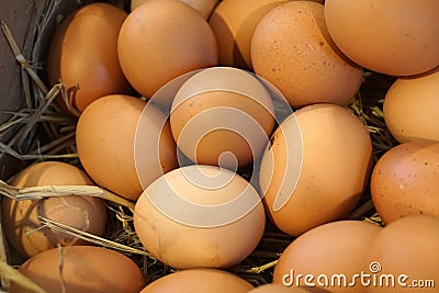 Farm fresh eggs in basket Stock Photo