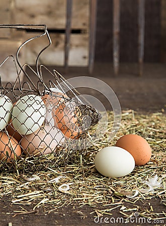 Farm fresh eggs Stock Photo