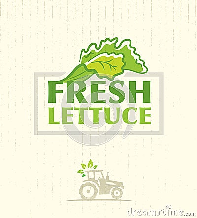 Farm Fresh Lettuce Salad Creative Vector Design Element On Cardboard Texture Background. Vector Illustration