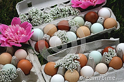 Farm Fresh Rainbow Colored Eggs From Local Farm Beautifully Decorated with Fresh Delicate Blooms and Flowers Stock Photo