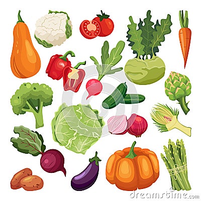 Farm fresh vegetables set. Vector flat cartoon illustration. Isolated broccoli, pumpkin, asparagus, artichoke, kohlrabi Vector Illustration