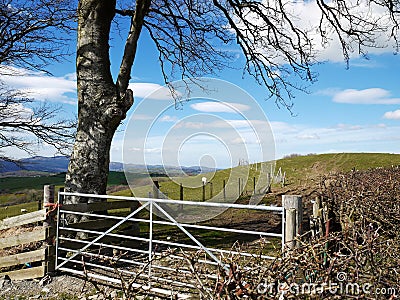 Farm gate, iron Stock Photo