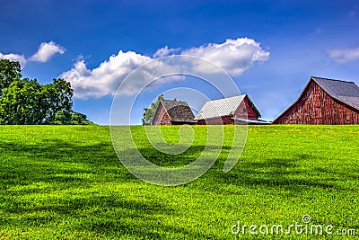 The Farm Stock Photo