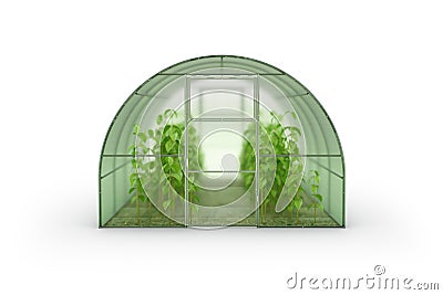 Farm greenhouse for growing plants, fruits, berries, vegetables, flowers. Visualization of a hotbed with green ripe plantings Stock Photo