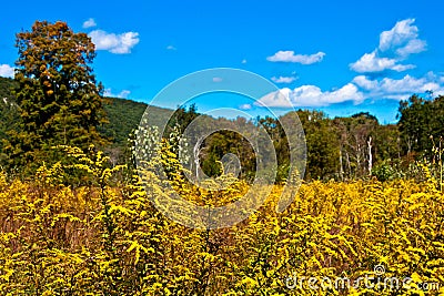 Abandoned Farm Stock Photo