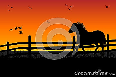 Farm horse grazing at meadow behind wooden fence. Sunset evening scene on ranch. Vector Illustration